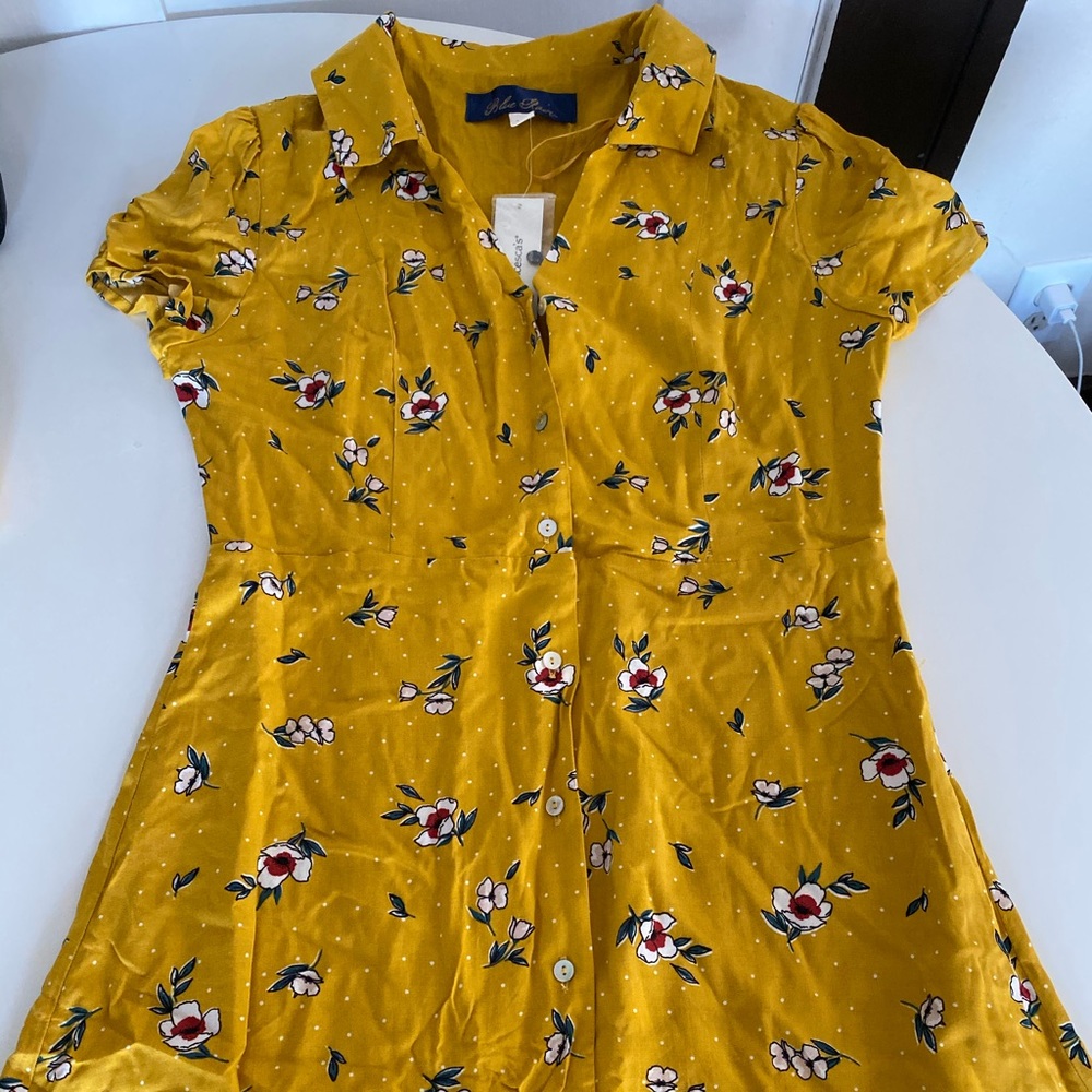 Francescas Dress Blue Rain
